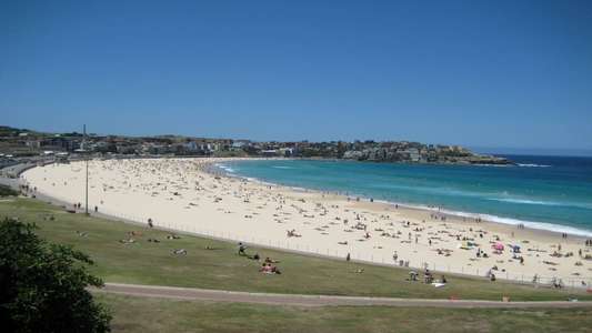Bondi Rescue - Backdrop