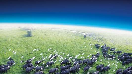 Planet Earth - Backdrops