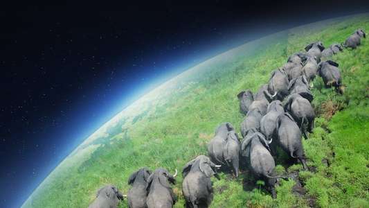Planet Earth - Backdrops