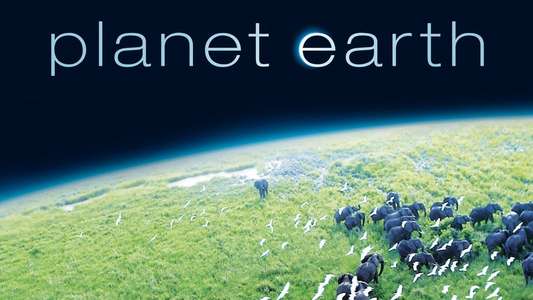 Planet Earth - Backdrops