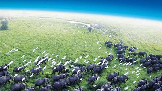 Planet Earth - Backdrops