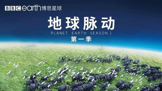Planet Earth - Backdrops