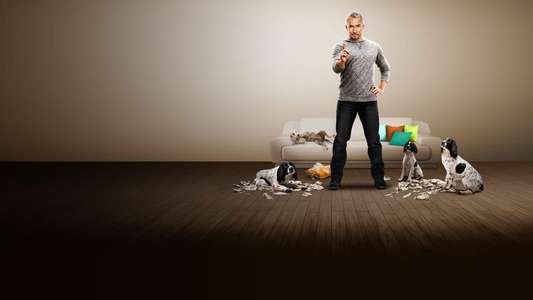 Dog Whisperer - Backdrop