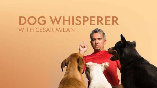 Dog Whisperer - Backdrop