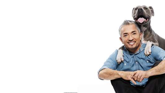 Dog Whisperer - Backdrop