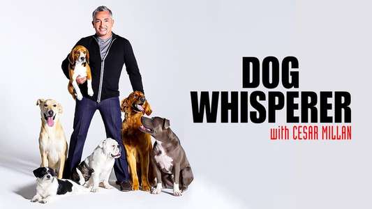 Dog Whisperer - Backdrop