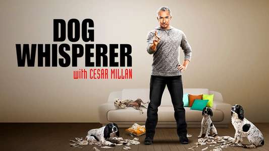 Dog Whisperer - Backdrop