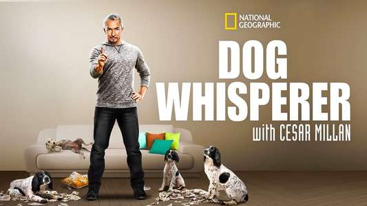Dog Whisperer - Backdrop