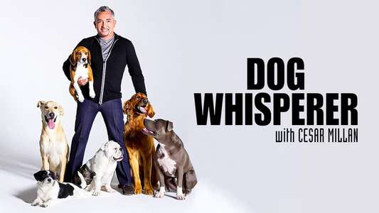 Dog Whisperer - Backdrop