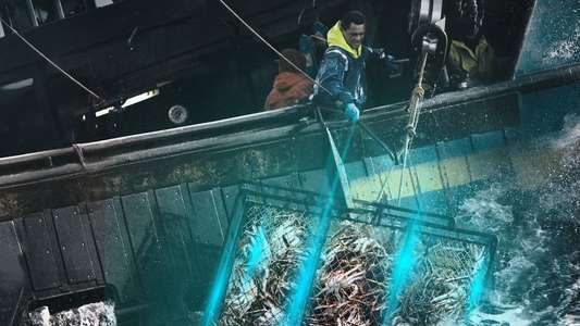 Deadliest Catch - Backdrops