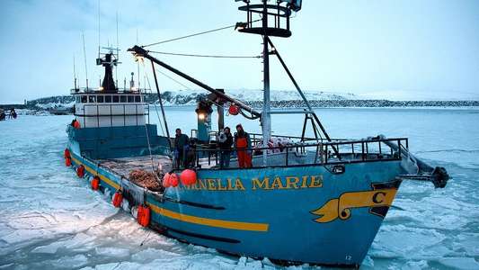 Deadliest Catch - Backdrops