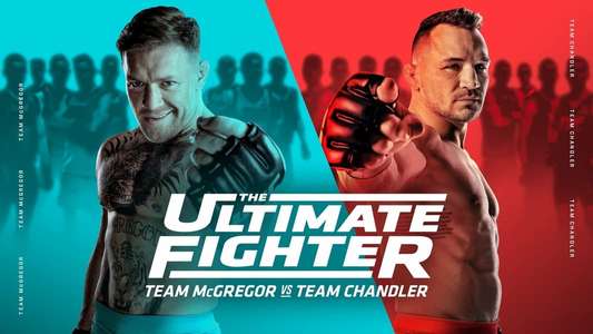 The Ultimate Fighter - Backdrop