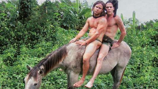Wildboyz - Backdrops