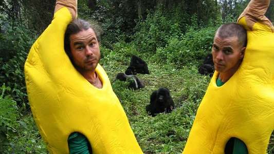Wildboyz - Backdrops