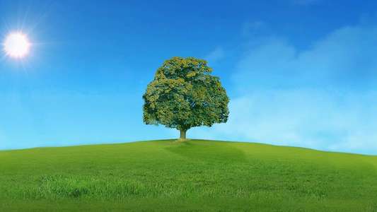 Who Do You Think You Are? - Backdrops
