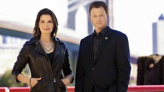 CSI: NY - Backdrops