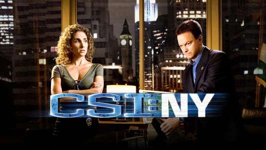CSI: NY - Backdrops