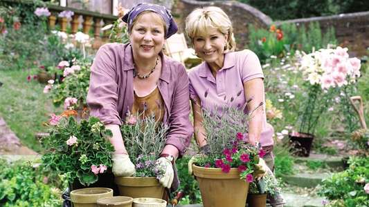 Rosemary & Thyme - Backdrop