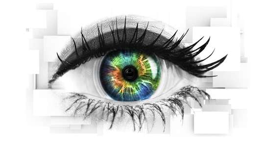 Celebrity Big Brother - Backdrop