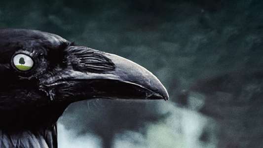 Six Feet Under - Backdrops