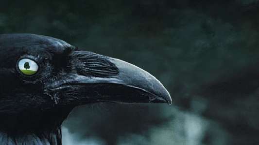 Six Feet Under - Backdrops