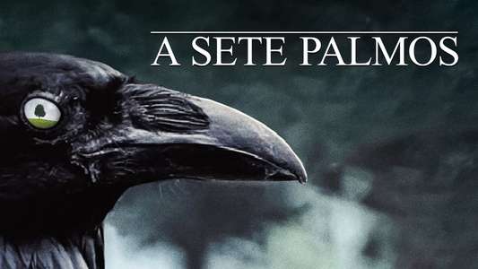 Six Feet Under - Backdrops