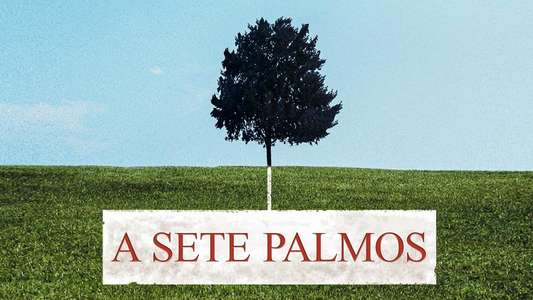 Six Feet Under - Backdrops