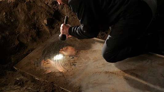 CSI: Crime Scene Investigation - Backdrops
