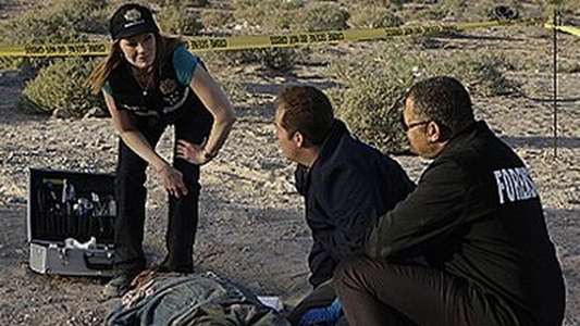 CSI: Crime Scene Investigation - Backdrops