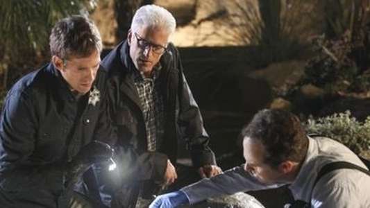 CSI: Crime Scene Investigation - Backdrops
