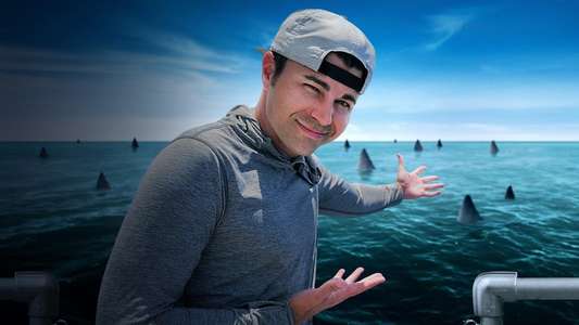Shark Week - Backdrops