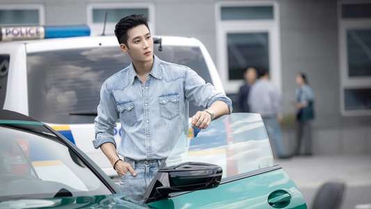 Flex X Cop - Backdrops