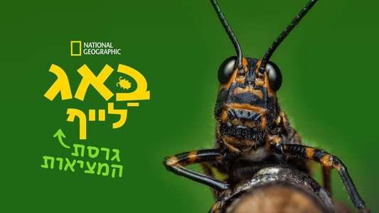 A Real Bug's Life - Backdrops