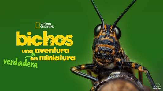 A Real Bug's Life - Backdrops