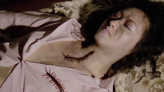 Centipede Horror - Backdrops