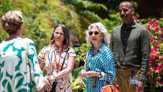 Death in Paradise - Backdrops