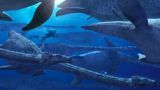 Sea Monsters - Backdrops