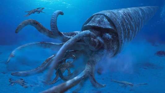 Sea Monsters - Backdrops