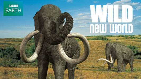 Wild New World - Backdrop