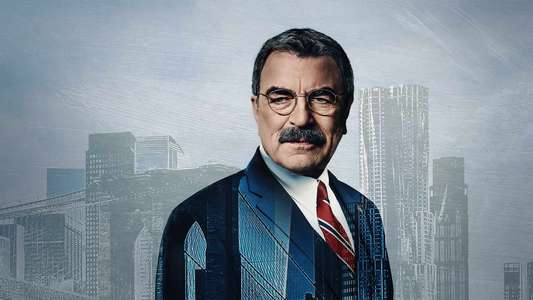 Blue Bloods - Backdrops