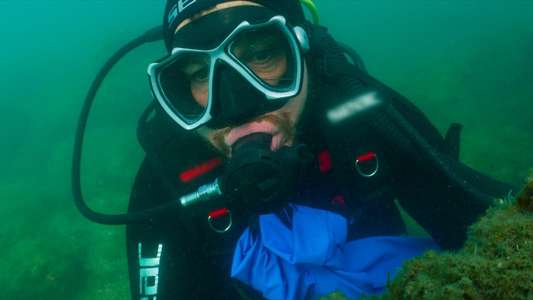 Celebrity Hunted - France - Manhunt - Backdrops