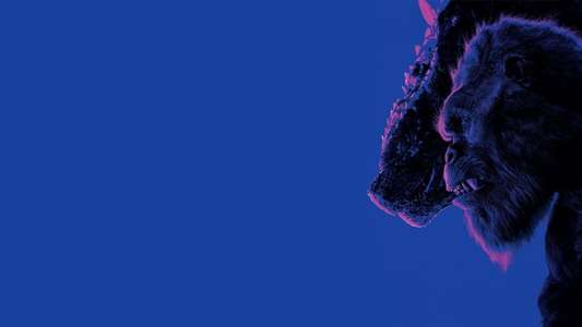 Godzilla x Kong: The New Empire - Backdrops