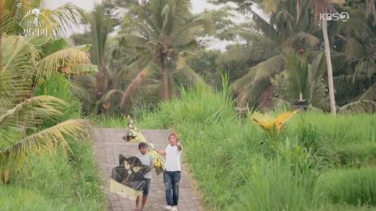 Jamsi Village - Backdrop
