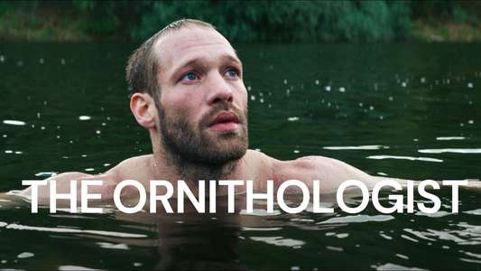 The Ornithologist - Backdrop