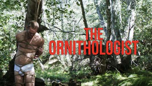 The Ornithologist - Backdrop