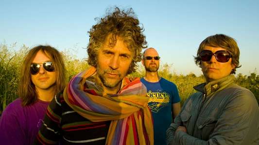 The Flaming Lips: U.F.O's At The Zoo - Backdrop