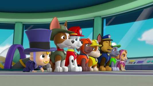 Paw Patrol - Backdrops