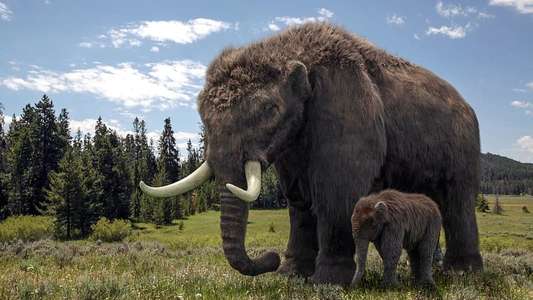 Ice Age Giants - Backdrops
