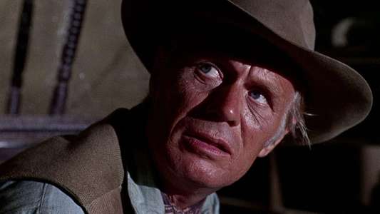 Death of a Gunfighter - Backdrop