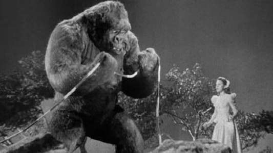 Mighty Joe Young - Backdrop